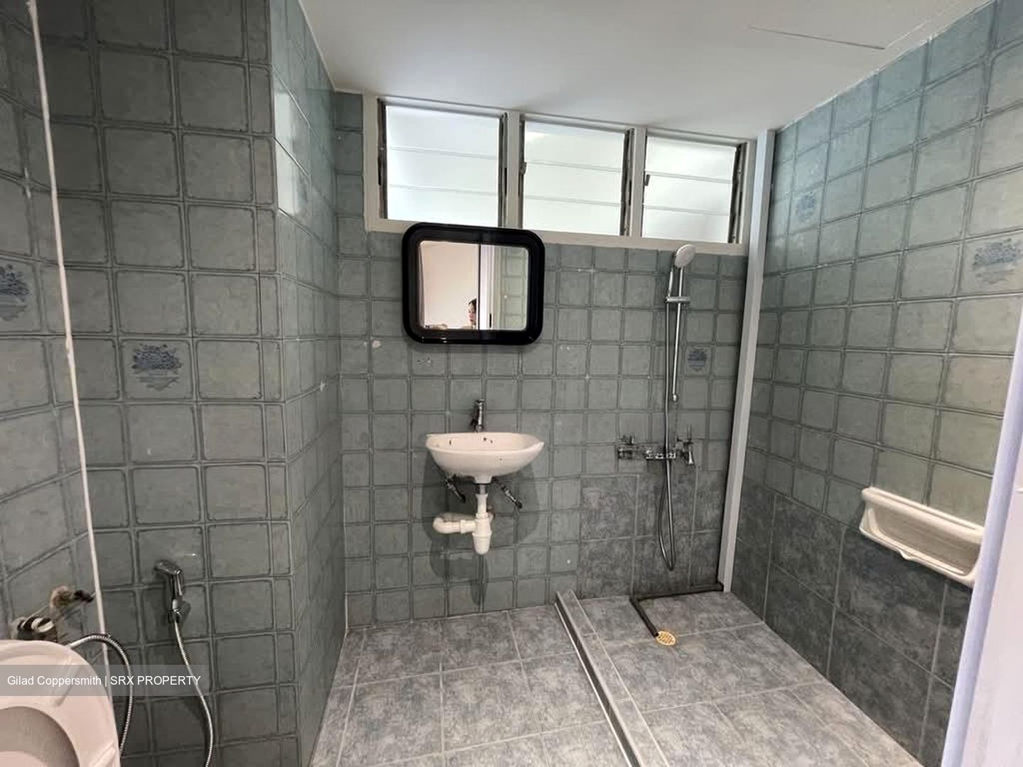 Dunearn Road (D11), Condominium #609111321